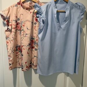 SHEIN Blue Stripe Flutter Sleeve V-Neck Top & Floral Print Top